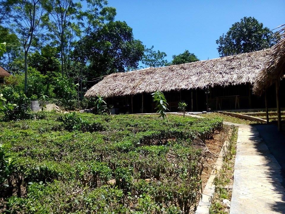 Family Homestay Ba Vi Ruang foto