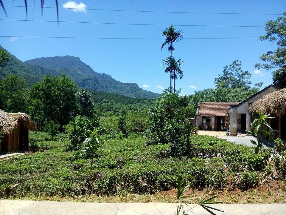 Family Homestay Ba Vi Bagian luar foto