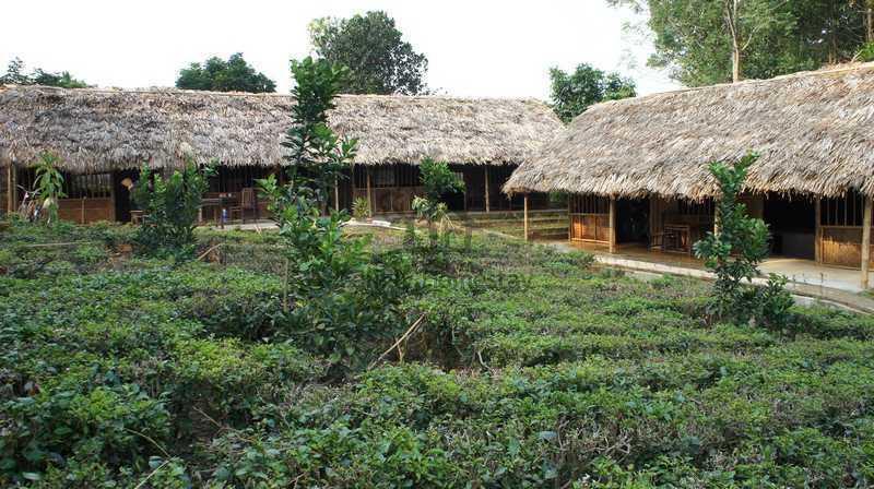 Family Homestay Ba Vi Ruang foto