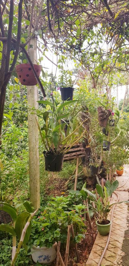Family Homestay Ba Vi Bagian luar foto