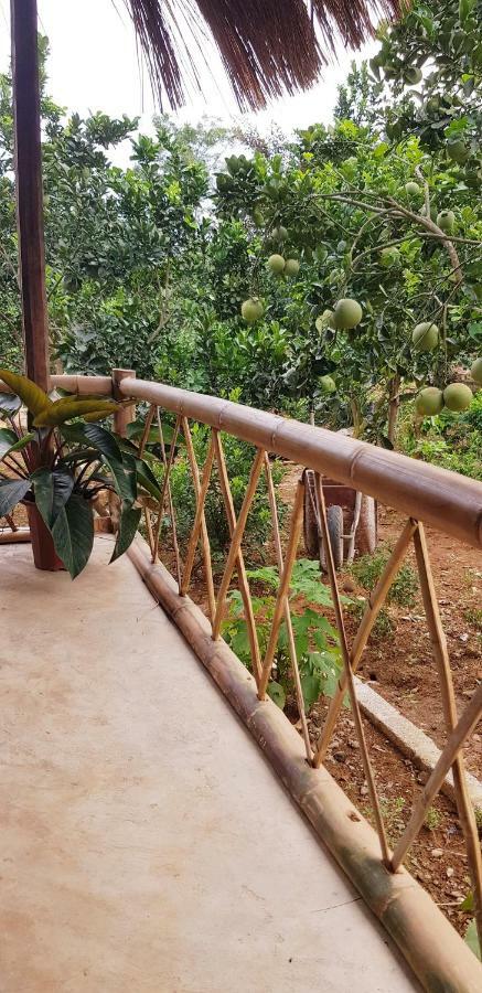 Family Homestay Ba Vi Bagian luar foto